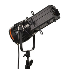 Charger l'image dans la galerie, Bug a Beam Zoom LED